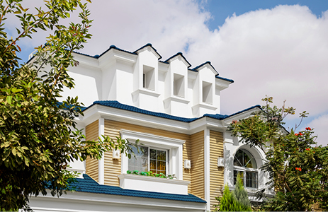 real estate development